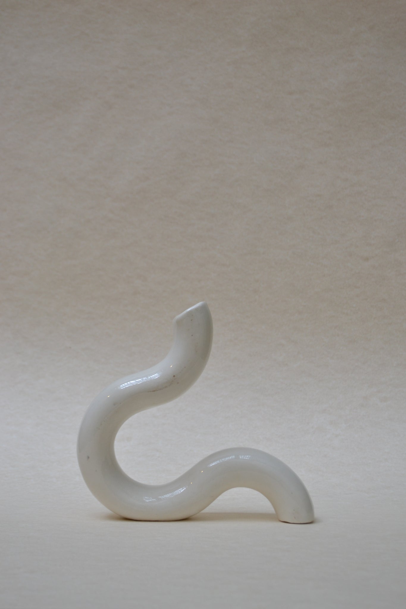 Swan