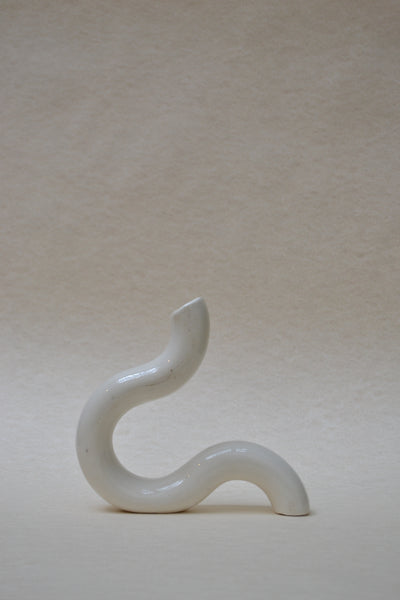 Swan